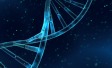 Innovation Areas in In-Vitro Diagnostics Theme Image