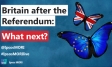 Britain after the referendum - What next?