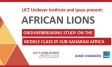 African Lions JHB