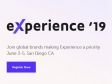 experience 19