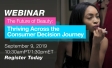 Thriving Across the Consumer Decision Journey