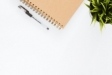 Webinar I Ipsos 