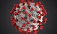 Understanding the coronavirus crisis