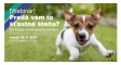 [WEBINÁR] Predá vám to šťastné šteňa?