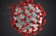 Lessons from the coronavirus crisis | Webinar | Ipsos