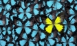 KEYS - Standing out from the crowd | Ipsos