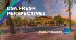 DSA FRESH PERSPECTIVES