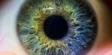 Perils of Perception