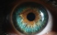Perils of perception image cover an eye