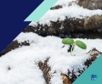 [WEBINAR] What You Need to Know About Canada’s Endurance Economy