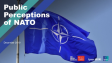 public perceptions of nato