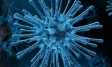 Covid-19 | North American are worried | Coronavirus pandemic | Ipsos