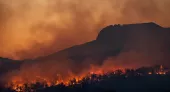 Ipsos | Globaler Berater | COP28 | Globale Erwärmung