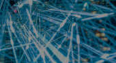 Conflicting Global Perceptions around AI present Mixed Signals for Brands