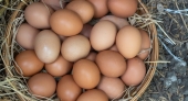 Ipsos - Fundación Veg: Estudio de opinión pública sobre consumo de huevos