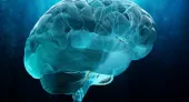 European Neurologists’ Opinions on Alzheimer’s Disease