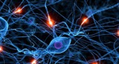 neuro