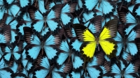 KEYS - Standing out from the crowd | Ipsos