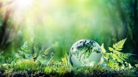 Where Next on ESG?