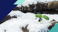 [WEBINAR] What You Need to Know About Canada’s Endurance Economy