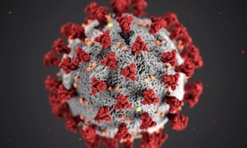 Signals: Understanding the Coronavirus Crisis | Ipsos | Covid-19 pandemic