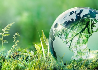 Ipsos Sustainability Solutions