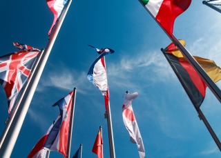 International Social Research | Ipsos
