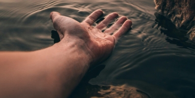 Ipsos Sustainability Report 2024