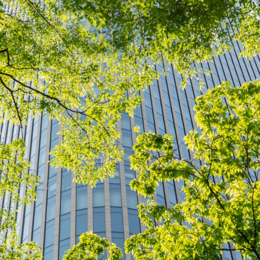 ESG a reputace: Jak si získat důvěru zákazníků?