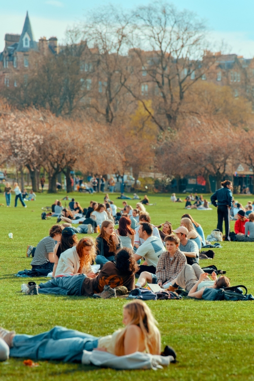 Eine belebte, sonnige Parkwiese, auf der zahlreiche Menschen in Gruppen auf Picknickdecken sitzen oder im Gras entspannen.