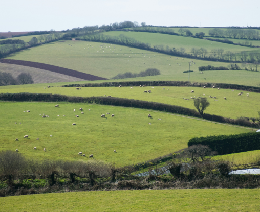 UK Farm Land 