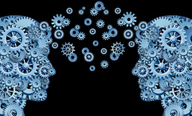 The Role of Surveys in the Age of Behavioural Science