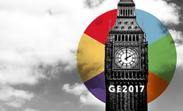 Understanding the General Election using Neuroscience