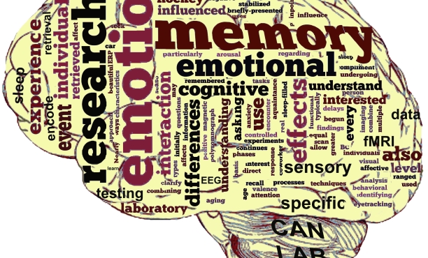 Ipsos Views: Clearing the Fog on Neuroscience