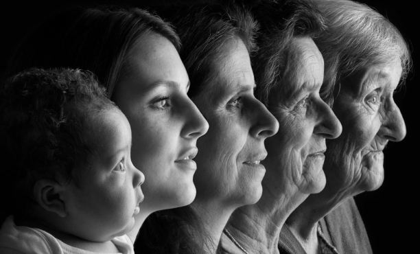 Ipsos Webinar | Shop, Drop & Roll: Dive into generations' shopping adventures