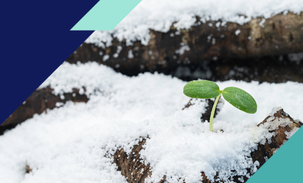 [WEBINAR] What You Need to Know About Canada’s Endurance Economy
