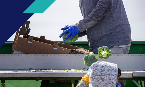 Canadian Centre for Food Integrity: Trust Under Pressure