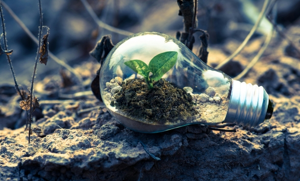 ESG: Jak na udržitelnost v globální nejistotě?