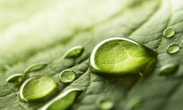 Que signifie l'appellation "naturel" pour le consommateur ?