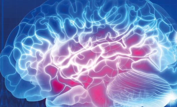 Neuroscience
