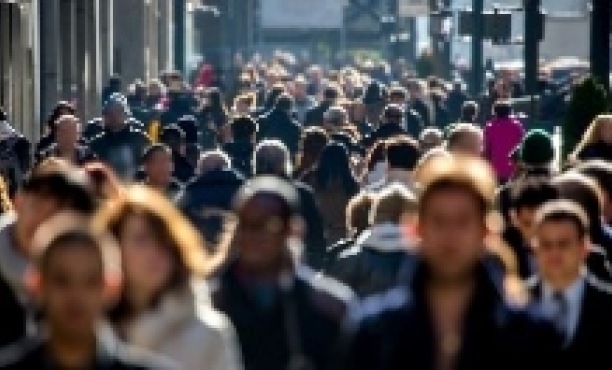 Pulso Económico (Global Advisor) – Diciembre 2018