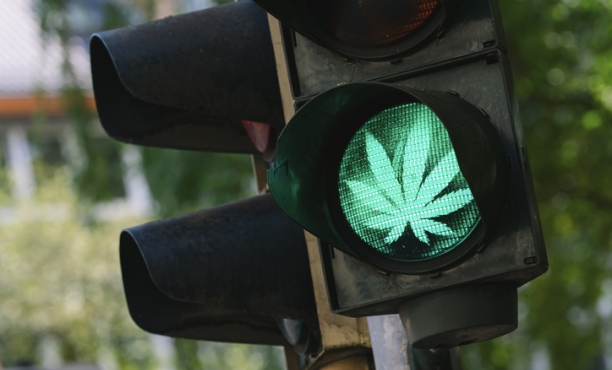 Marijuana traffic light