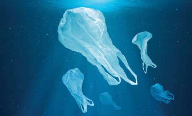 osservatorio il furo del packaging