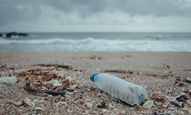 War on plastic heats up as beverage giants push water in a can | Ipsos