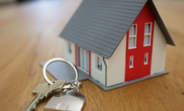 Key ring with house