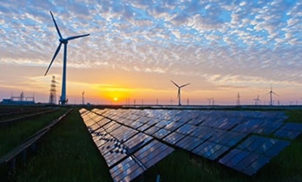 Electricity | Green energy | Environment | Ipsos