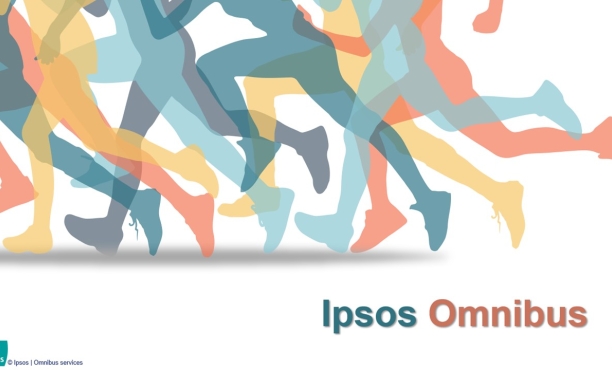 Omnibus Research in Egypt 