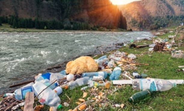 plastic packaging and waste | Ipsos | Global Advisor
