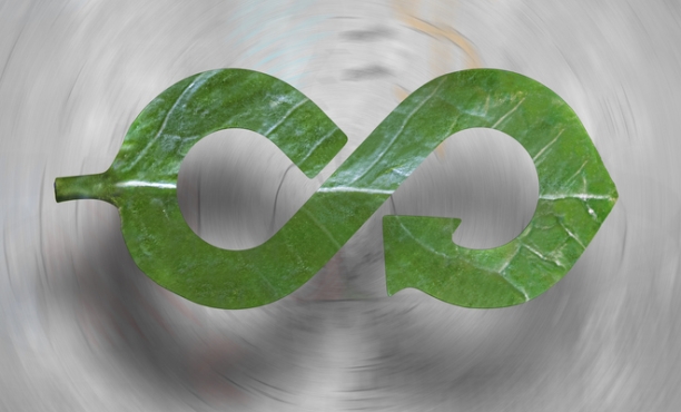 Economia Circolare I Sostenibilità I Sondaggio I Ipsos 