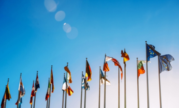 European project - 2019 European elections | Ipsos